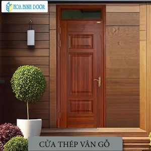 Cửa thép vân gỗ KG-1.03-1TK