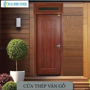 Cửa thép vân gỗ 1 cánh